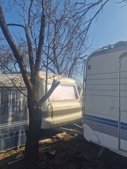 Rulota Avento Royal 445 TL EXCLUSIEF -  construcție olandeza