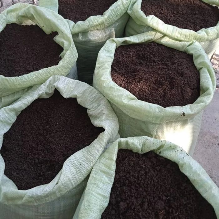 Biogumus kaliforniya qizil yomgir chuvalchanglari sotamiz