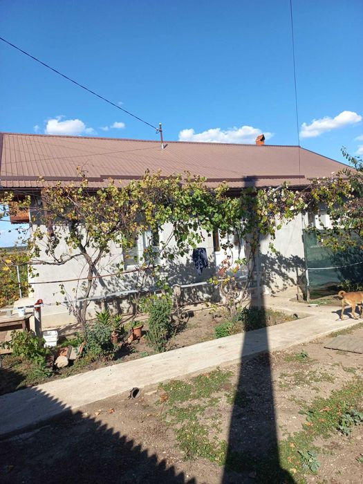 Casa de vanzare Drăgănești Vlasca
