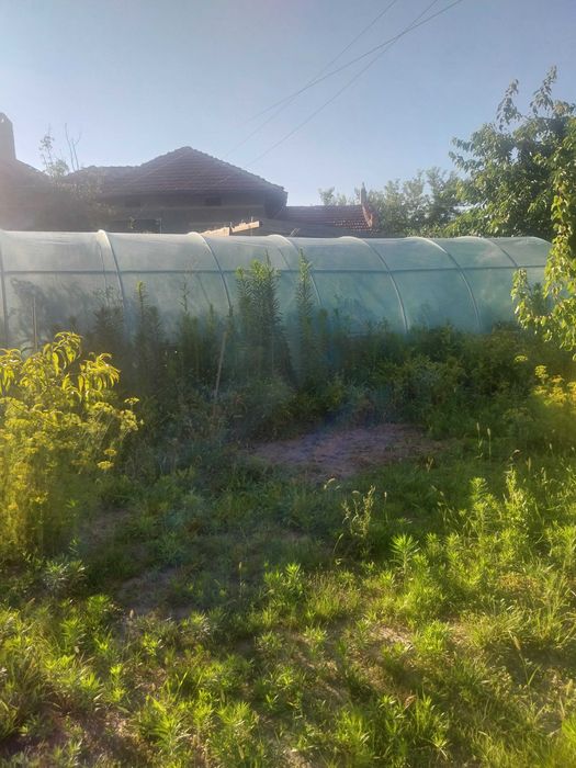 Продава къща с.Ценово , Русенско