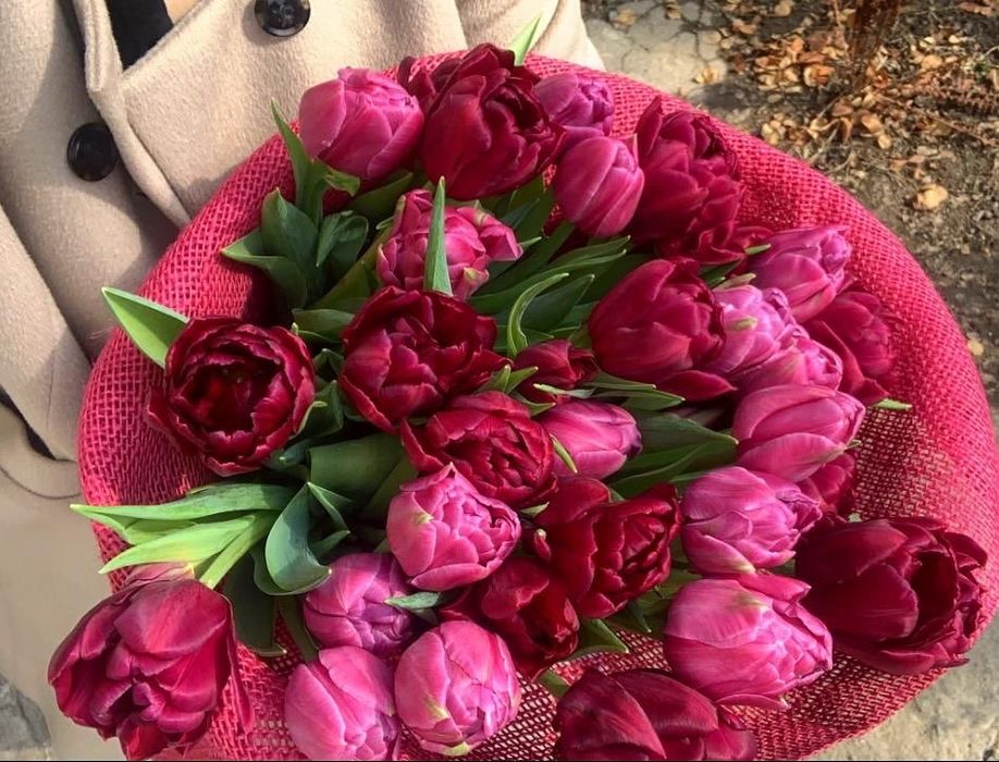 Тюльпаны оптом из теплицы