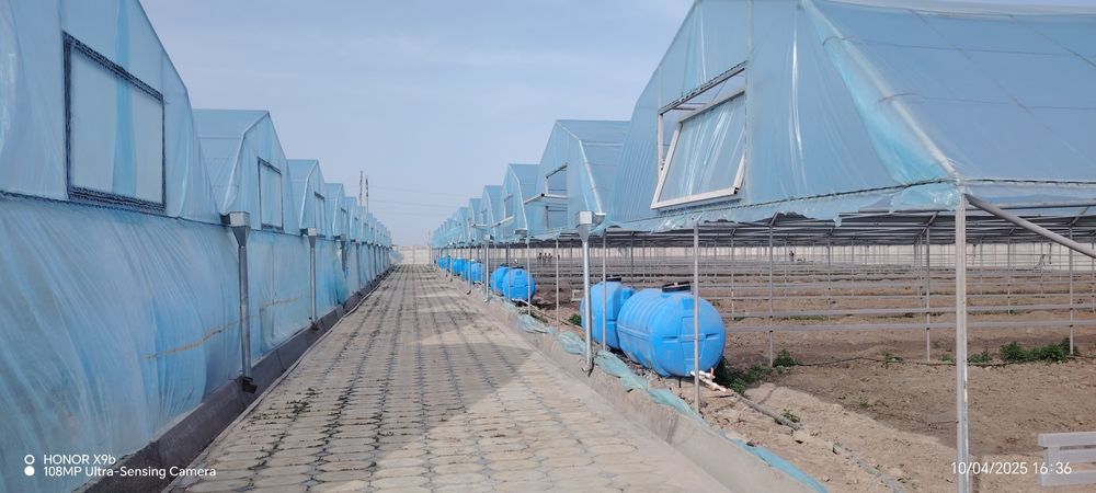 Issiqxona, parniklar, teplitsalar arzon va sifatli turda qurib beramiz