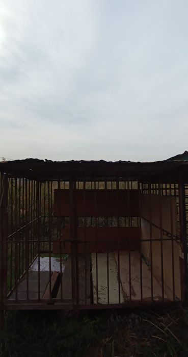 Вольер для собак