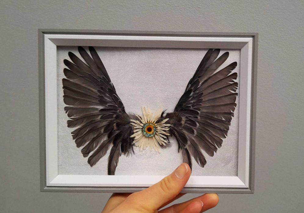 Aripi naturale înrămate