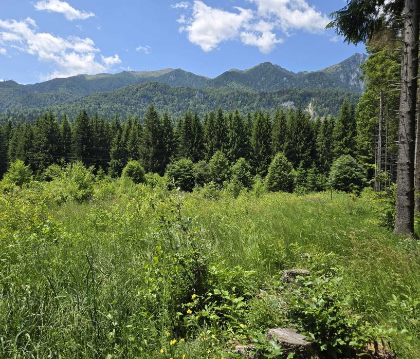 Vand teren Orasul Sinaia