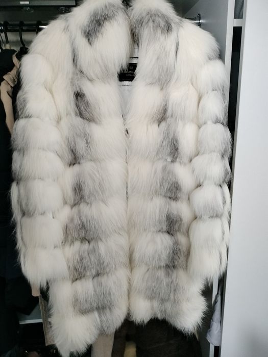 Blăniță de vulpița