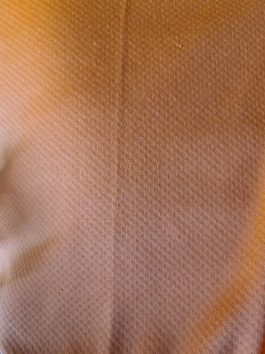 Шорти Puma на Valencia CF Валенсия и AC Milan Милан