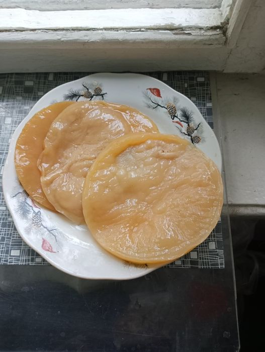 Чайный гриб продам