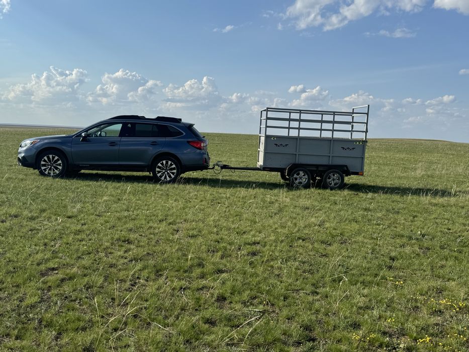 Обмен на лошодей subaru