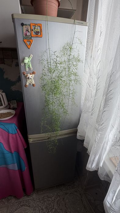 Продам холодильник самсунг