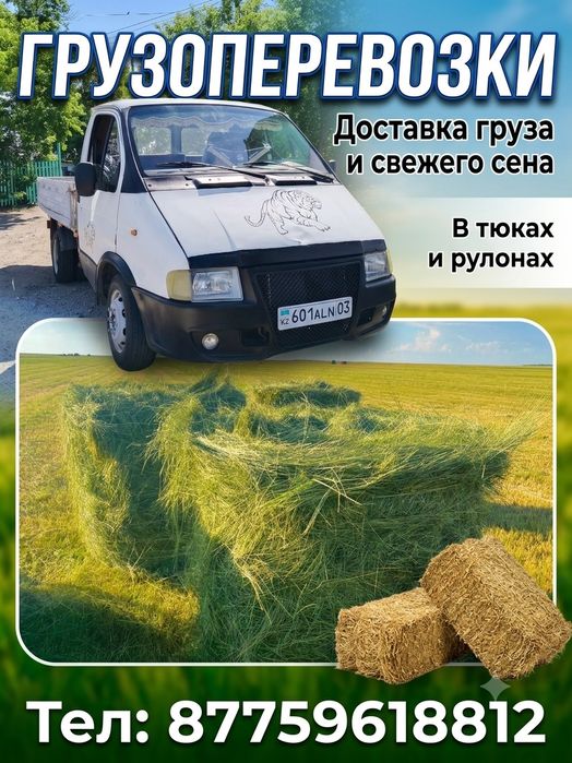 Сено с доставкой