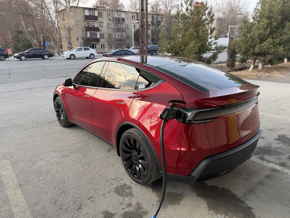 Tesla model Y (RWD) juniper