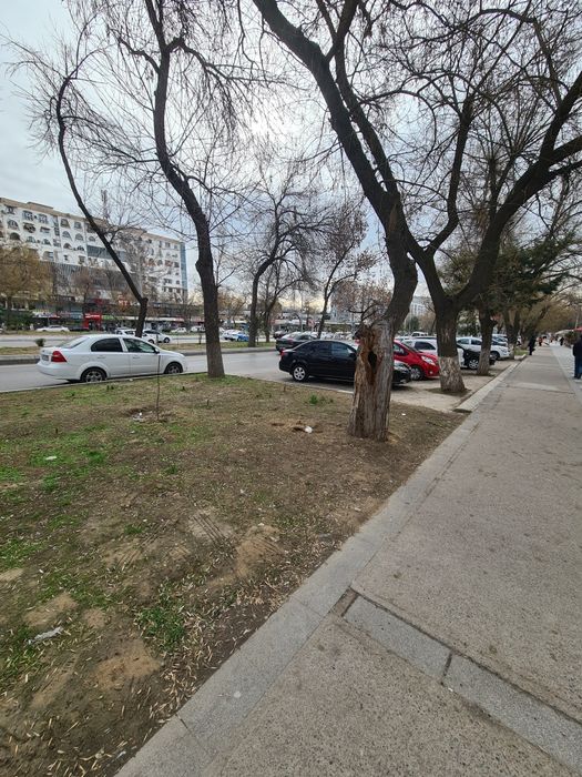 Сдаётся в аренду нежилое здание вдоль дороги!