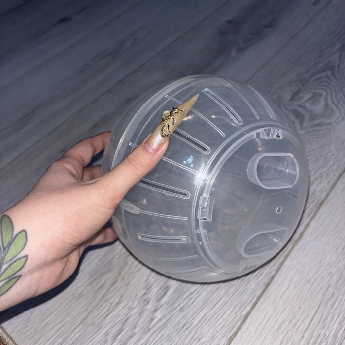 шар для грызунов