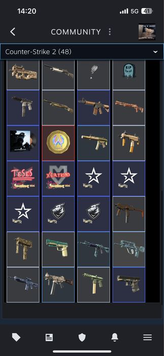 Стим акк с праим в кс2