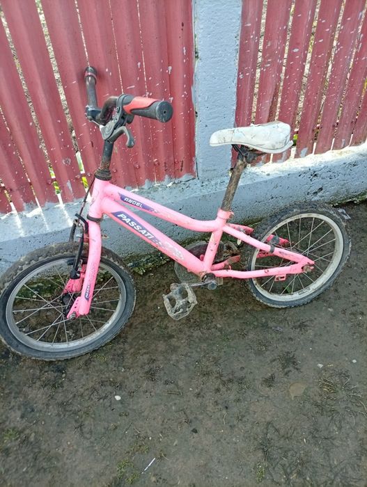 Bicicleta pentru copii