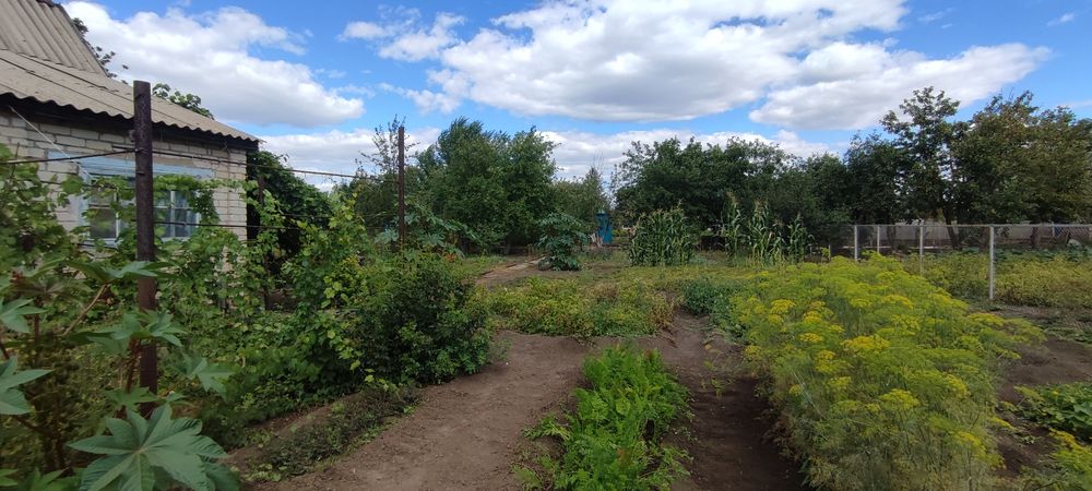 Продам дачу 2я дачная,,Тополёк,,