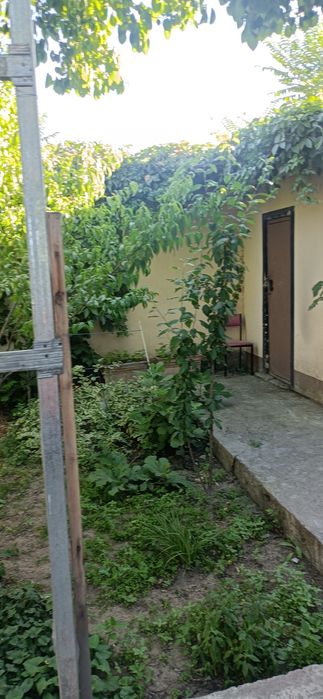 Бектемир тумани Олтинтопган махалласида квартира сотилади.