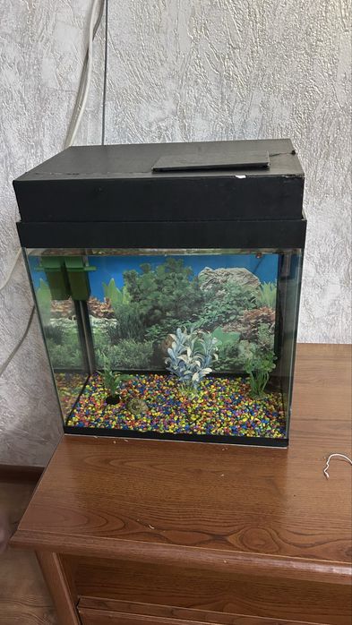 Аквариум с рыбками