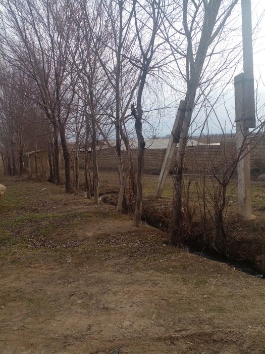 Фазенда 2,6 гектар жеримен