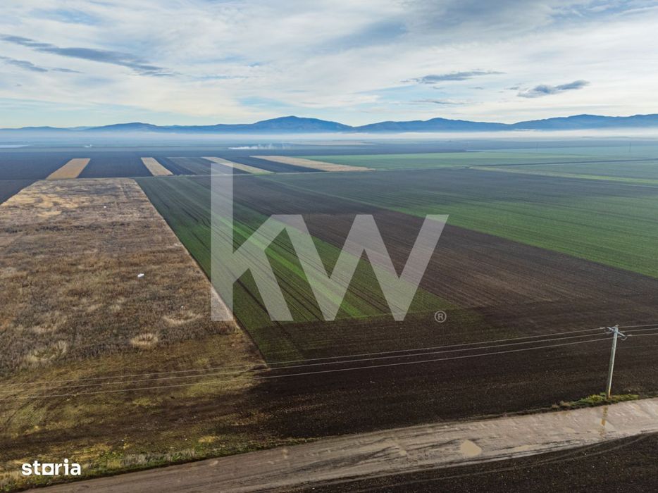 Teren exceptional pentru investitii industriale langa Brasov