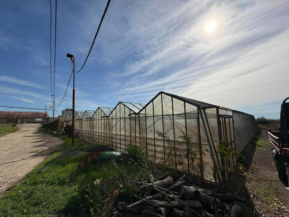 Дава се под наем Земеделски имот в Бухово -  кв.м за 629.34 € - Снимка #5