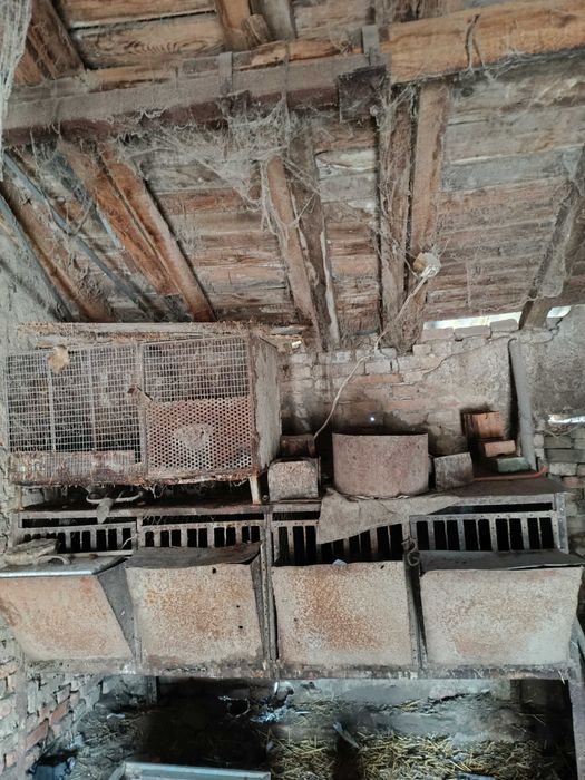 Заичарници клетки