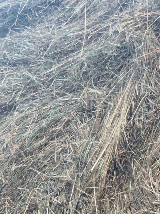 Люцерна, Сено, Грах,Слама