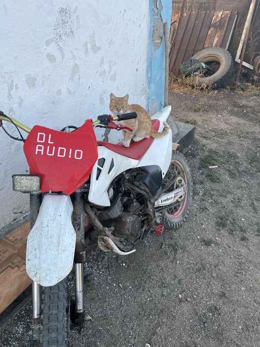 Эндуро 250 Zonzen