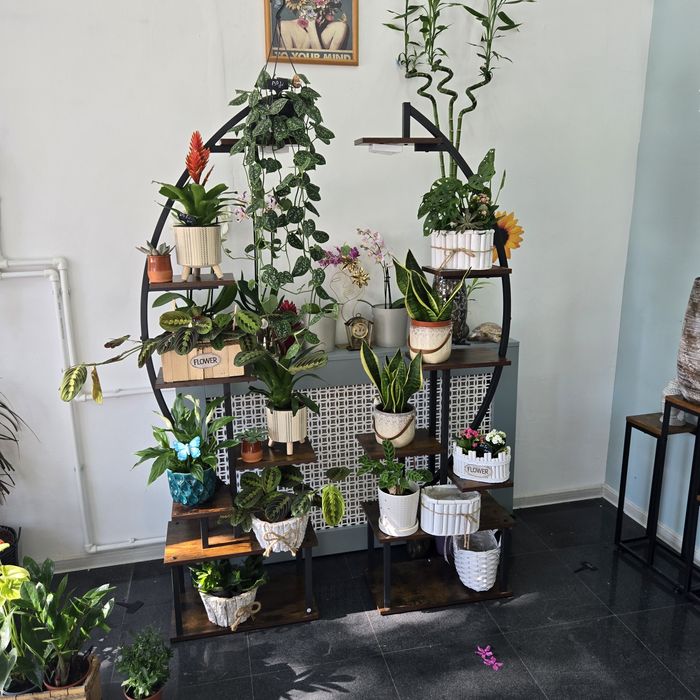 2 rafturi vintange.cel mare este prevazut cu lumina