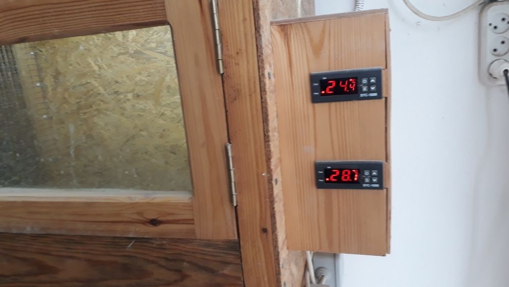 Брудер для цеплят