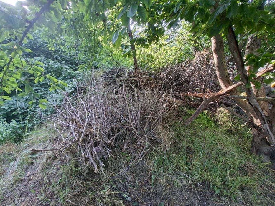 Дрова из черешневого сада