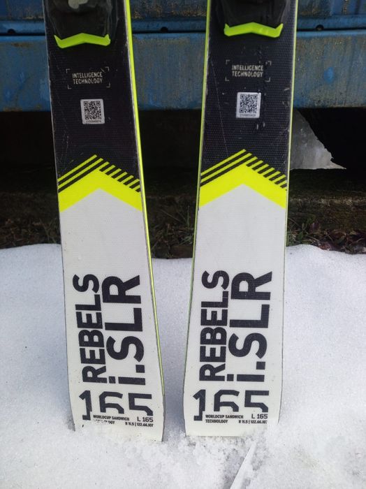 Schiuri head world cup rebels