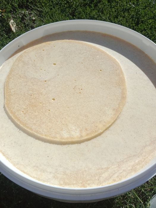 Мед Алтайский оптом