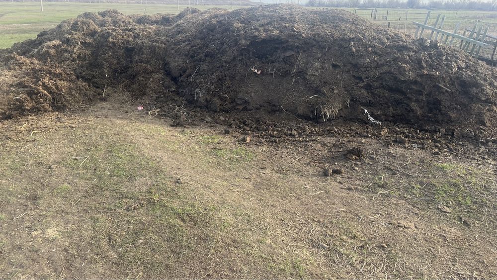 Навоз в районе Сортировка
