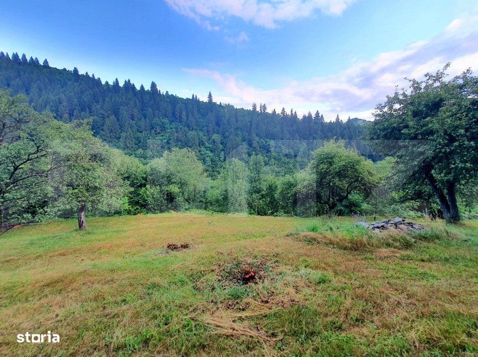 Teren intravilan, 31 ari, Ilva Mica, zona montana