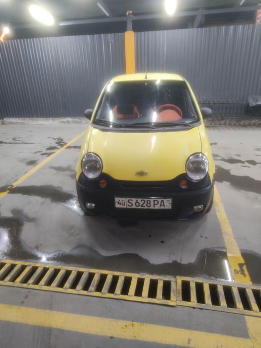 Matiz polilukus 2003