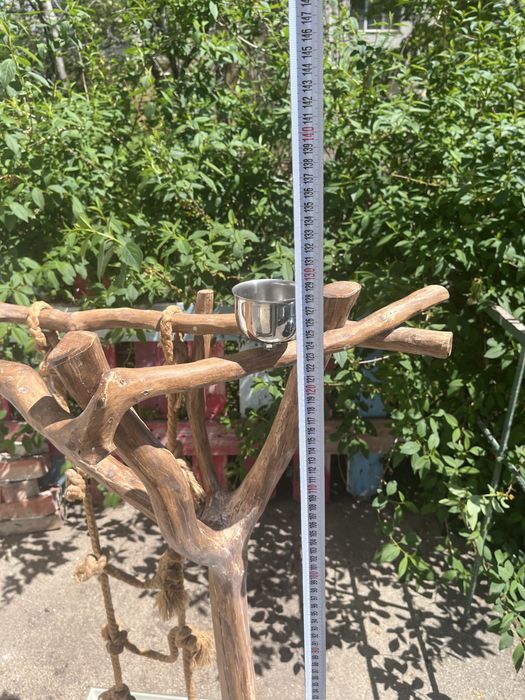 Кацалка за птици,папагал