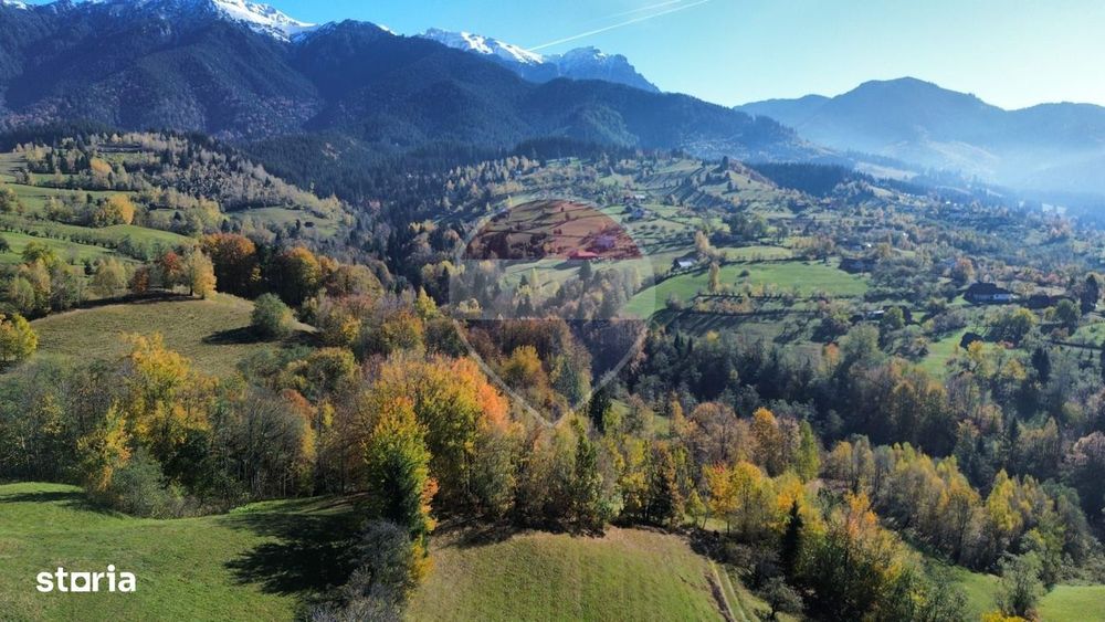 Teren Sohodol-Bran / Strada Bradul inalt, priveliste deosebita