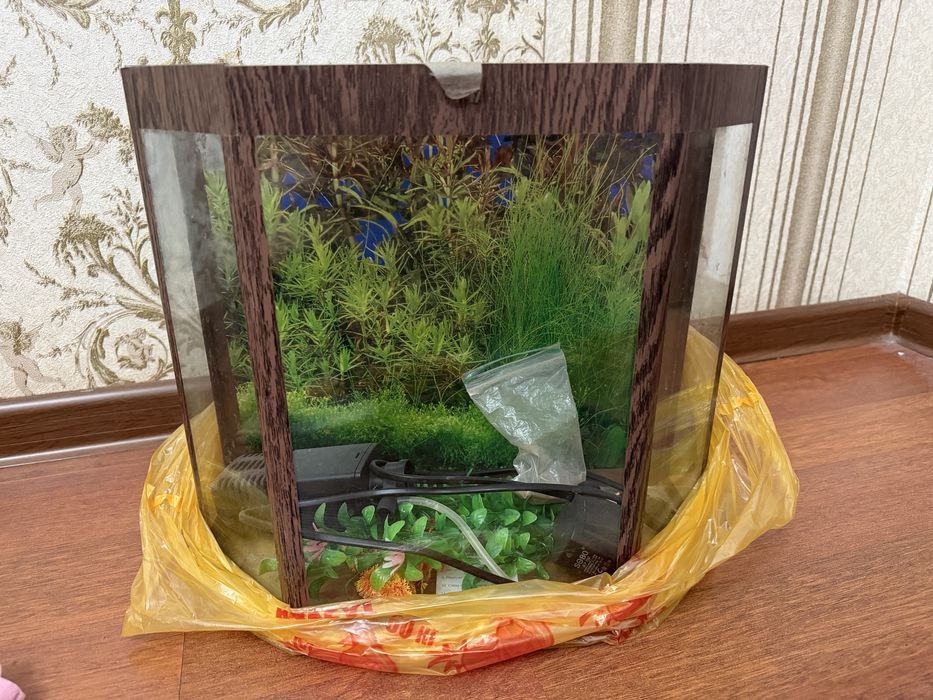 Аквариум недорого