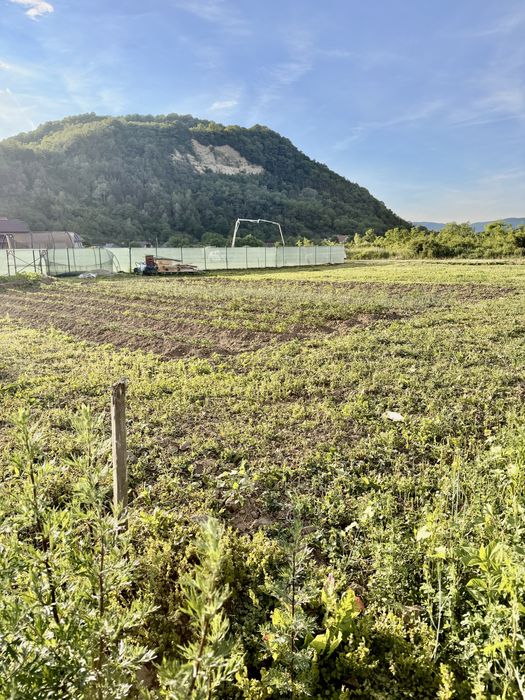 Teren intravilan Dej huhurez 42D