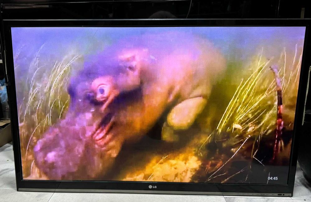 Телевизор LG 42 инча