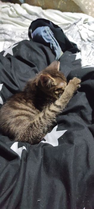 Мальчишка ищет семью