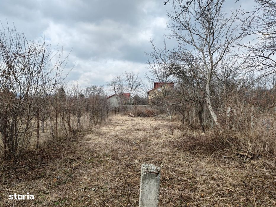 Cornu de Jos - casa Batraneasca + teren 1343mp - 60000 Euro