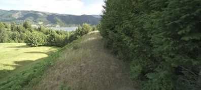 OPORTUNITE PENTRU INVESTITORI - Teren intravilan 1,7 ha – Colibița