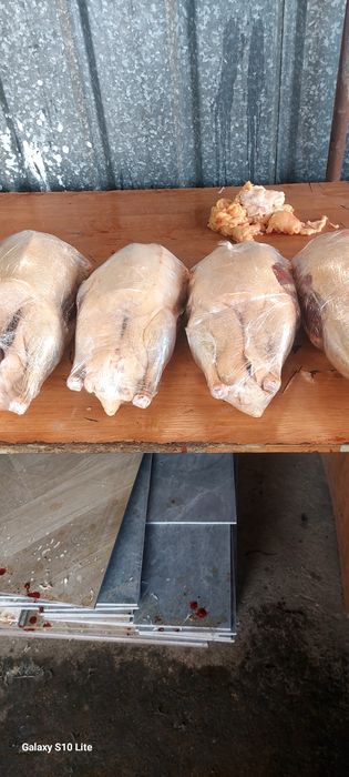 Срочна продам мясо гуся