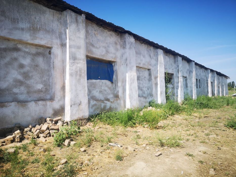 Продам ферму /ferma sotaman