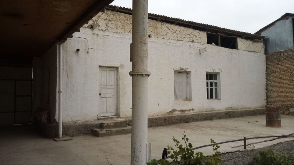 Когон туман чопик-1