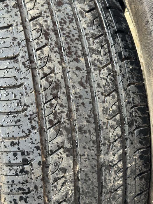 Шина ризина летняя