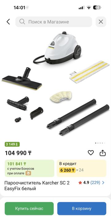 Проочиститель Karcher